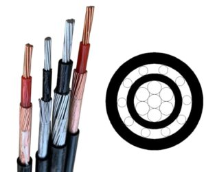 concentric cable