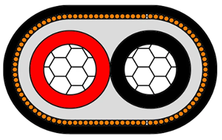 Concentrico Cable